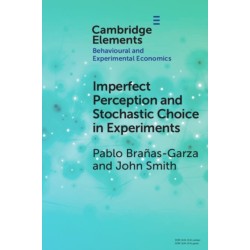 Imperfect Perception and Stochastic Choice in Experiments
