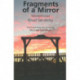 Fragments of a Mirror: Selected Essays