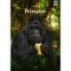 Primater