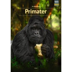 Primater