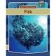 Fisk
