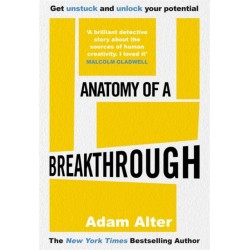 Anatomy of a Breakthrough: How to get unstuck and unlock your potential