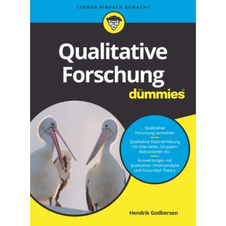 Qualitative Forschung fur Dummies