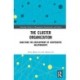 The Cluster Organization: Analyzing the Development of Cooperative Relationships