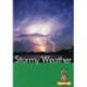 STORMY WEATHER