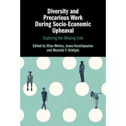 Diversity and Precarious Work During Socio-Economic Upheaval: Exploring the Missing Link