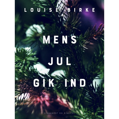 Mens jul gik ind