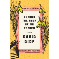 Beyond the Door of No Return: A Novel