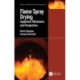 Flame Spray Drying: Equipment, Mechanism, and Perspectives