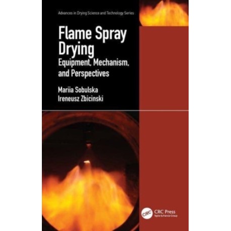 Flame Spray Drying: Equipment, Mechanism, and Perspectives