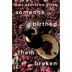 someone birthed them broken: Stories