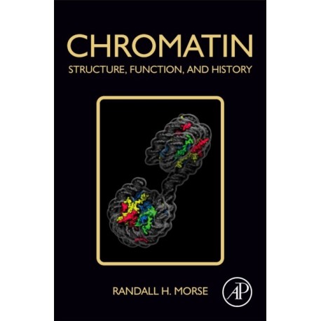 Chromatin: Structure, Function, and History