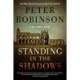 Standing in the Shadows: A Novel