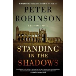 Standing in the Shadows: A Novel