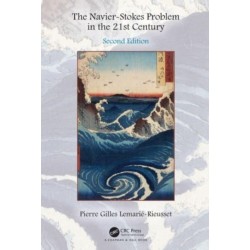 The Navier-Stokes Problem in the 21st Century