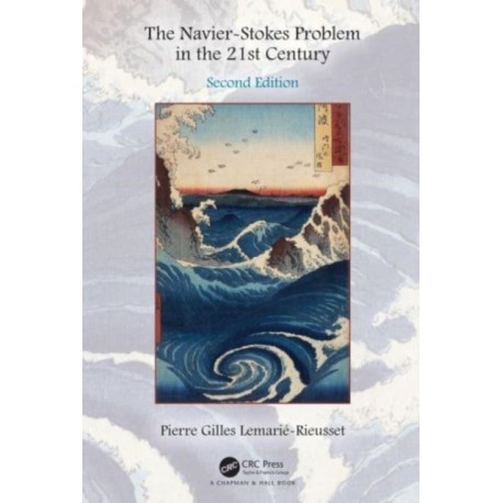 The Navier-Stokes Problem in the 21st Century