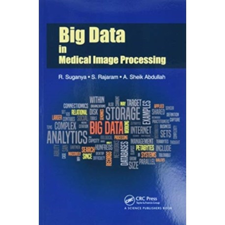 Big Data in Medical Image Processing