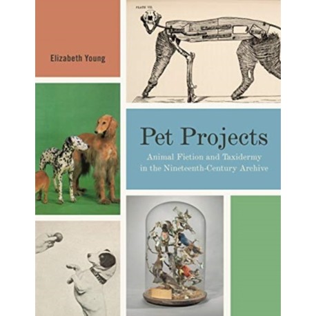 Pet Projects: Animal Fiction and Taxidermy in the Nineteenth-Century Archive