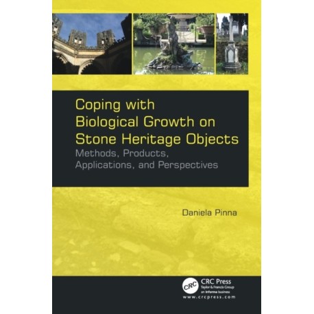 Coping with Biological Growth on Stone Heritage Objects: Methods, Products, Applications, and Perspectives
