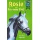 Rosie the Runaway Pony