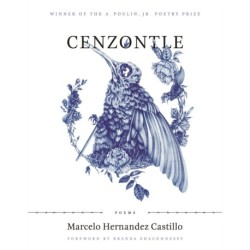 Cenzontle