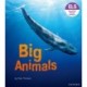 Essential Letters and Sounds: Essential Phonic Readers: Oxford Reading Level 7: Big Animals