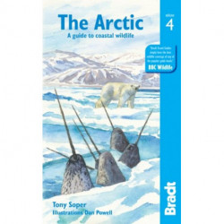 The Arctic