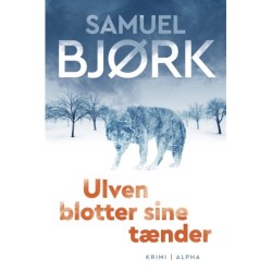 Ulven blotter sine tænder