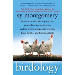 A Birdology: Adventures with Hip Hop Parrots, Cantankerous Cassowaries, Crabby Crows, Peripatetic Pigeons, Hens, Hawks, and Hummingbirds