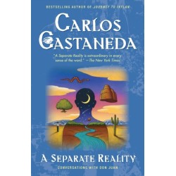 A Separate Reality: Further Conversations with Don Juan
