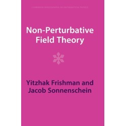 Non-Perturbative Field Theory