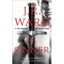 The Sinner