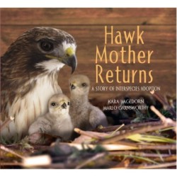 Hawk Mother Returns: A Story of Interspecies Adoption