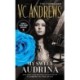 The My Sweet Audrina