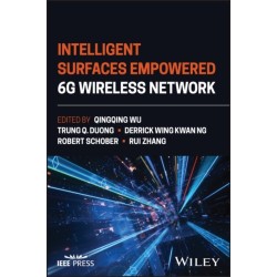 Intelligent Surfaces Empowered 6G Wireless Network