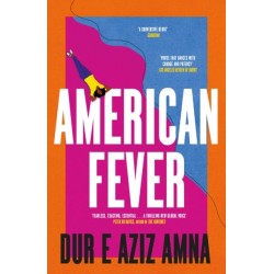 American Fever: The sharp and spiky debut novel from the winner of the Financial Times Essay Prize