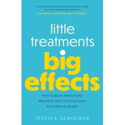Little Treatments, Big Effects: How to Build Meaningful Moments that Can Transform Your Mental Health
