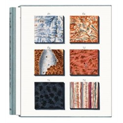 Jan Christiaan Sepp. The Book of Marble