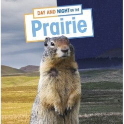 Day and Night on the Prairie