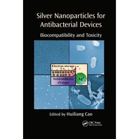 Silver Nanoparticles for Antibacterial Devices: Biocompatibility and Toxicity