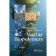 Industrial Applications of Marine Biopolymers