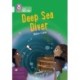 The Deep Sea Diver: Band 17/Diamond
