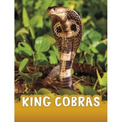King Cobras
