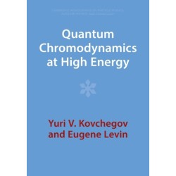 Quantum Chromodynamics at High Energy