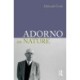 Adorno on Nature