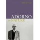 Adorno on Nature