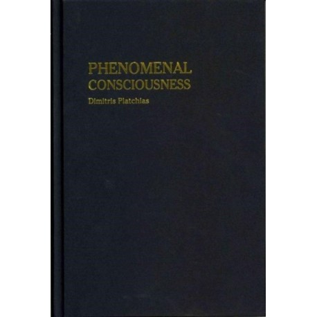 Phenomenal Consciousness: Understanding the Relation Between Experience and Neural Processes in the Brain