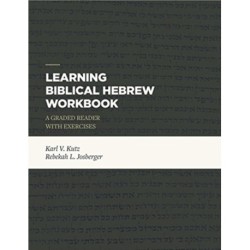 Learning Biblical Hebrew Workbook