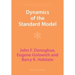 Dynamics of the Standard Model