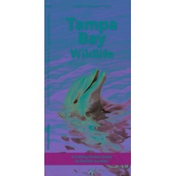 Tampa Bay Wildlife: A Folding Pocket Guide to Familiar Animals